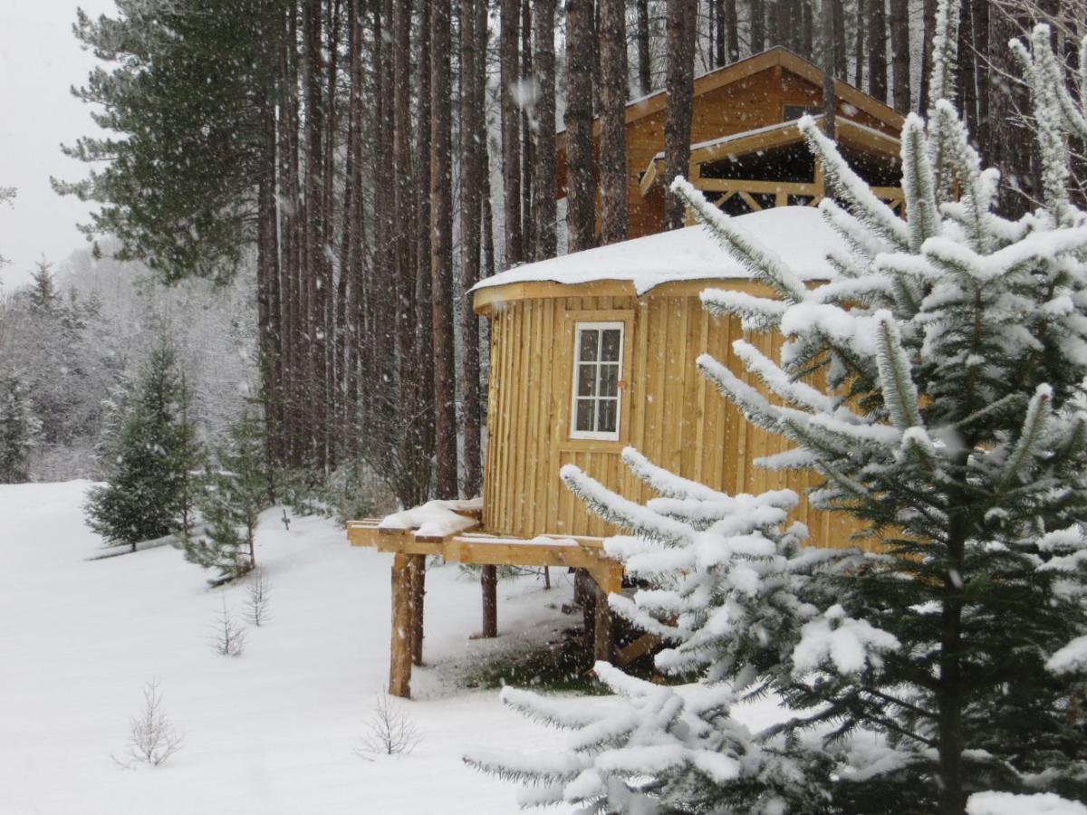 La Maison Sous Les Arbres Saint Roch de Mekinac Экстерьер фото